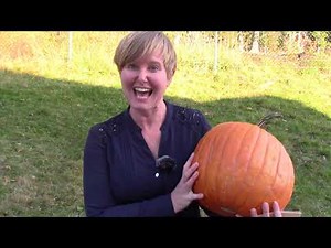 Grade 1: Math Lesson #37 Adding 1 To A Number