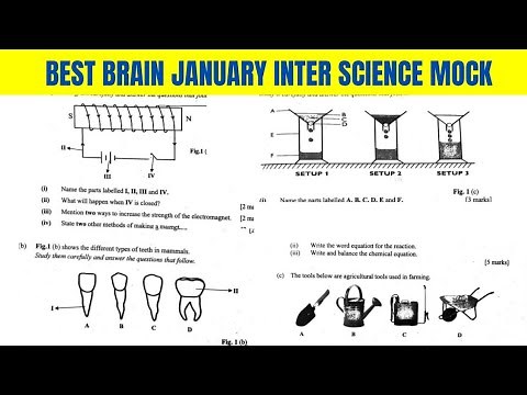 Best Brain Integrated Science January 2026 Mock Questions and Answers