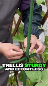 Garden Hack: How to Secure a Climbing Frame with Zip Ties