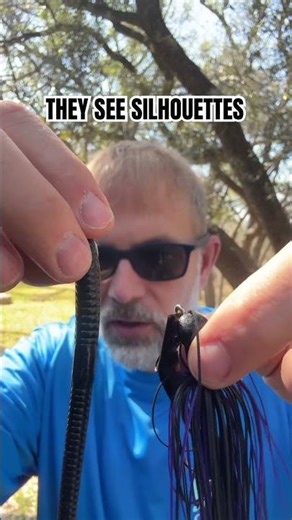 Stop Throwing Bright Baits in Muddy Water