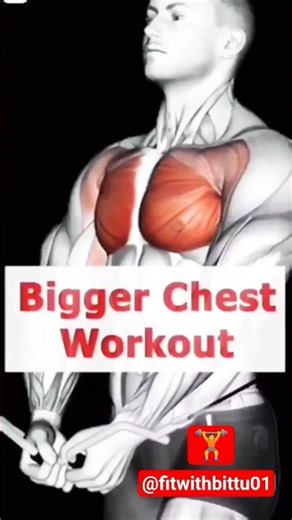 Build Bigger Chest Fast 🔥 | Complete Chest Workout Routine