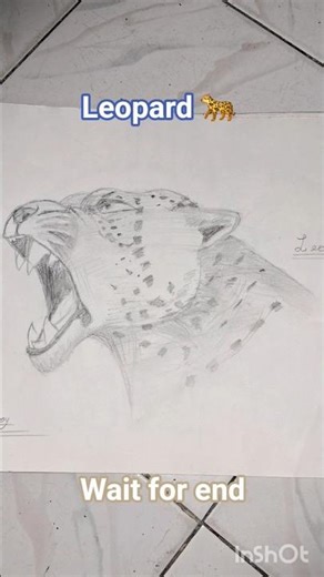 leopard pencil art#shorts#art
