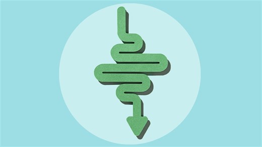 Multiple Sclerosis and Gut Health: What to Know