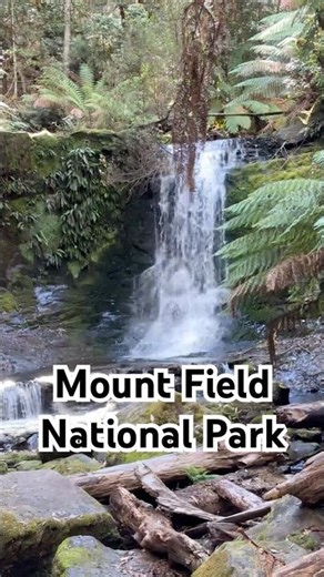 Mount Field National Park #mountfield #tasmania #hobart #tasmanian #waterfall #nature #australia