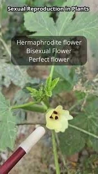 Sexual reproduction in Plants Examples |Biology | SSC | RRB NTPC | Ishendu Sir #simplicrack