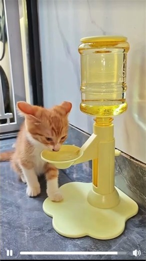 Cat Water Fountain, Anti-Tipper, Automatic Height Adjustable