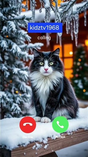 this cat's eyes will hypnotize you #pets #cat #shorts