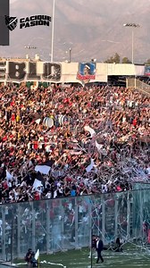 Señores lo dejo todo, me voy a ver al Colo 🤍🖤 | Cacique Pasión