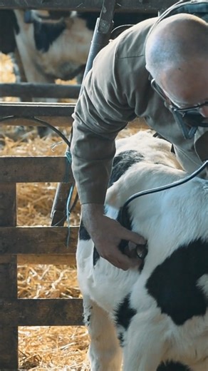 Virbac Australia on Instagram: "Some of you may not know, but Virbac is a global company, centred around the needs of farmers and animals alike. 🇦🇺🌏 All over the world, farmers face a variety of challenges—from different species and diseases to unique climates and production models. That's why every day, we work hand in hand with vets and farmers. Our teams adapt to local needs and constraints to optimize farm performance. We promote prevention for healthy animals and quality production, and