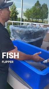 Now Flipper is safe inside Aqualand for the Winter. | Greg Wittstock the Pond Guy