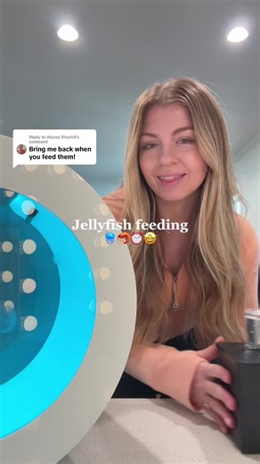 Jellyfish Feeding Time: A Fascinating Aquatic Ritual