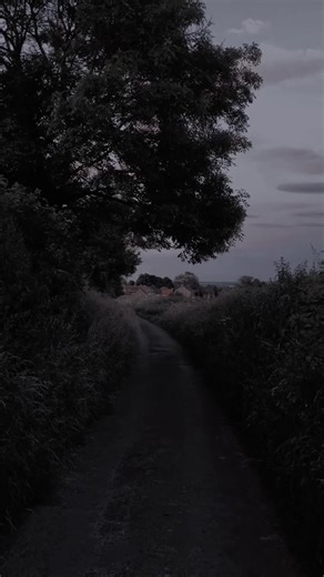 #lyrics_songs #songlyrics