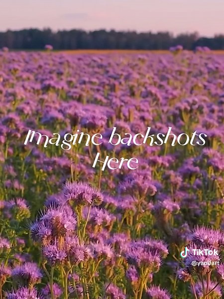 Imagine backshots here #real