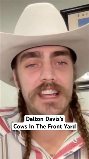 Dalton Davis told the story of how his hit "Cows In The Front Yard" came to be and what it means!