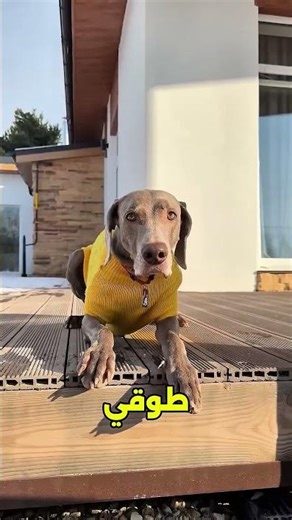 قمت بعمل مقلب في ماكس ولكن ما حدث لن تصدق 😲