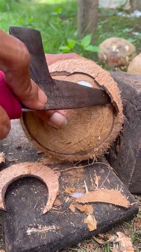 smart way to open a round coconut from its shell