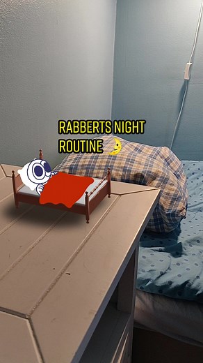 Rabbert's Night Routine: Animated Cartoon by Rabbert