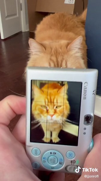 White Balance and Date Stamp in Digital Photography