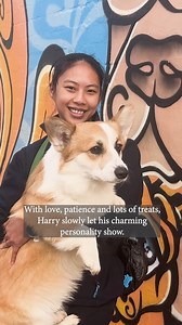 25K views · 787 reactions | After being left alone for months on a...