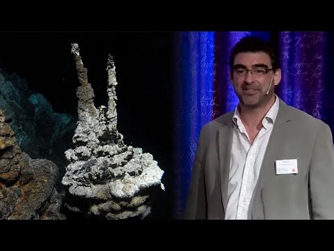 Nick Lane: Origin of the eukaryotic cell