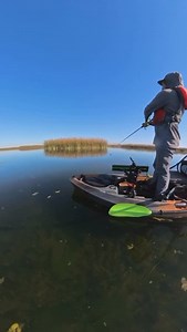 Horny Toads — bass love ‘em. Good work, @jokenfujitsu #hornytoad #zoombait #kayakfishing | Zoom Bait