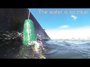 MANASQUAN INLET GREAT VISIBILTY