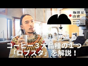 コーヒー豆の品種をわかりやすく解説！「ロブスタ」と「アラビカ」の違い