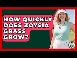 How Quickly Does Zoysia Grass Grow? - Fairways of the USA