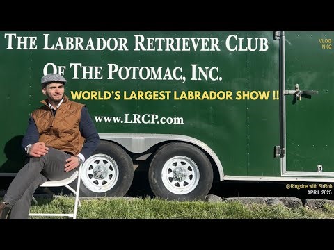 Inside the World’s Largest Labrador Retriever Show 🐕🏆 | Potomac 2025 Vlog