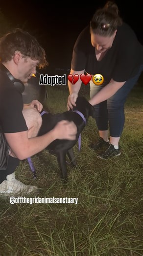 It’s 12:19 AM and I haven’t posted in two weeks. I am forcing this post out as I’m behind on rescue updates and need to star somewhere through this empty feeling. So much pressure has been on me to keep it all together when sometimes I want to let go when it all feels to heavy. Animal rescue is HARD! You rescue an animal, rehabilitate it, earn its trust and then give the dog up for adoption hoping they’ll have a home forever after all that. 🥺 I’ve never felt so much pain and happiness at the sa