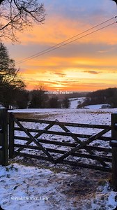 27K views · 1.5K reactions | Wednesday Walk Wisdom: “In every walk...