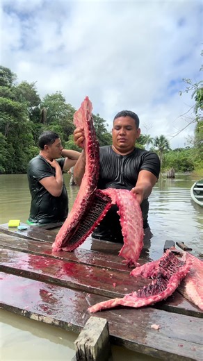 Nossa rotina diária de cuidados com a casa