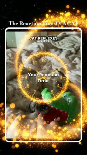 How Fast Is Your Reaction? 👀 #shorts #reactiontime