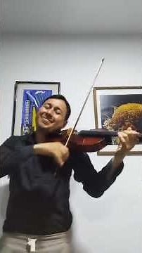 Swan Lake Violin Lago de los Cisnes