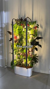 2.6K views | One setup, endless salads 綾✨ | Gardyn | Facebook