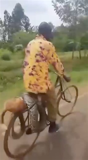 1.9K views · 36 reactions | A man goes to a police station to report his dog has been killed by python.. serekali saidia... | Ltvkenya News | Facebook