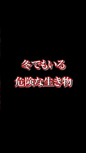 【生き物】冬でも注意が必要な身近な生き物 #生物 #雑学 #昆虫