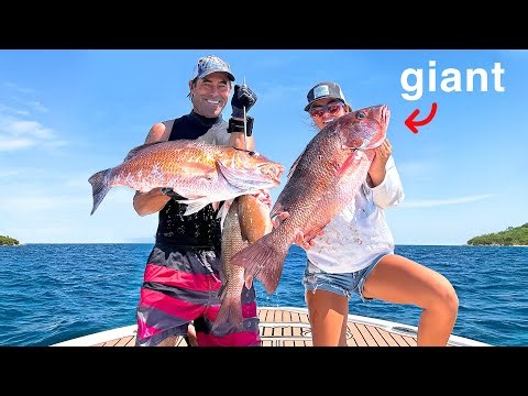Hunting Massive Snapper for Dinner!