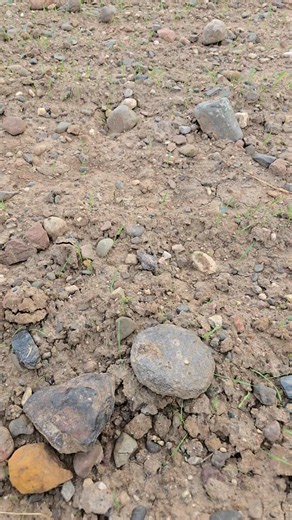 1.4K views · 491 reactions | Nice Freshly Found Lake Superior Agate Nodule! | The Agate Dude | Facebook