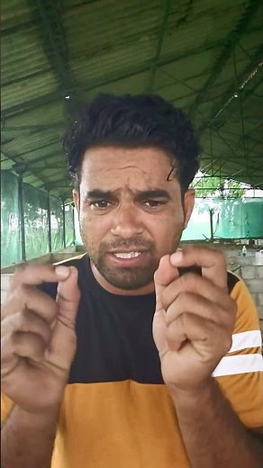 Inside the Business of Pig Farming: Plans, Profit, and Injections