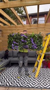 3.9M views · 53K reactions | Want to be considered for a free garden...