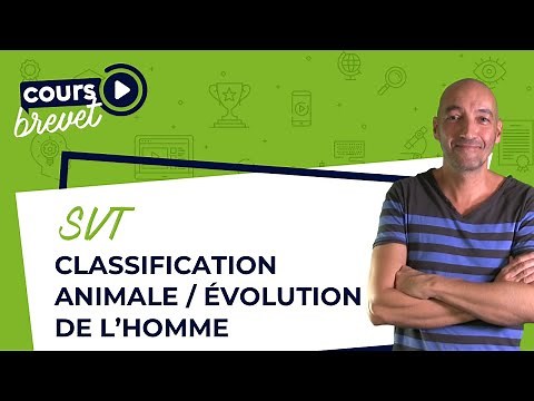BREVET de SVT : Classification animale / Évolution de l'Homme