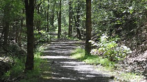 5 things to know before visiting Clinton