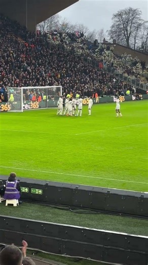 Palmer goal chelsea vs wolves