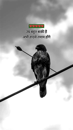अभी हादसे तमाम होगे 💯💯💯💯 #wattsapsatutas #motivation #motivation #sad #stutasshayari #motivational
