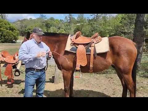 Australian Stock Halfbreed saddle by James Saddlery.