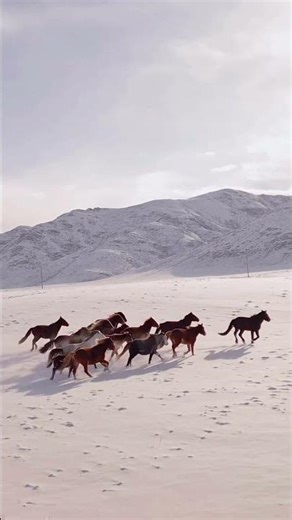 Hourse footsteps🐴🍃 #ambientsounds #relax #dothingsyoudontwanttodo #hourse