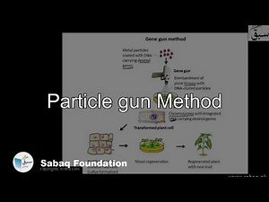 Particle gun Method, Biology Lecture | Sabaq.pk