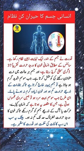 How the Human Body Controls Temperature | Amazing Science Explained