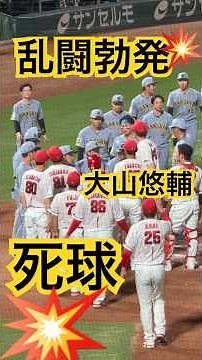 ついに乱闘勃発⁉︎⚡️大山悠輔🐯選手にデッドボール💥⚾️広島vs阪神 両軍入り乱れ🚨警告試合 藤川監督🐯審判団振り切り一塁大山のもとへ🏃‍♂️